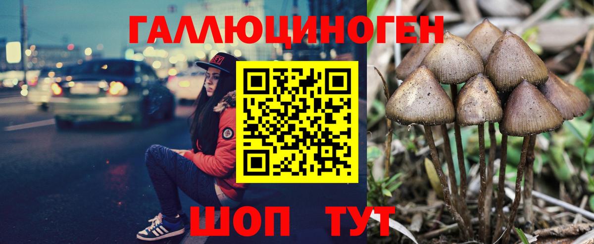 Псилоцибиновые грибы прущие грибы Еманжелинск
